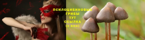 кристаллы Заволжье